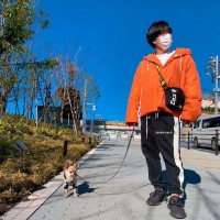 Adidas Yeezy Boost 350 V2 Cinder