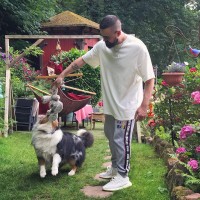 Adidas Yeezy Boost 350 V2 Cream White