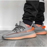 Adidas Yeezy Boost 350 V2 True Form Trfrm